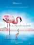 Les ailes pourpres : le myst�re des flamands