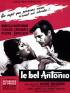 Le bel Antonio