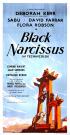 Le Narcisse noir