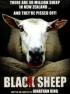 Black Sheep