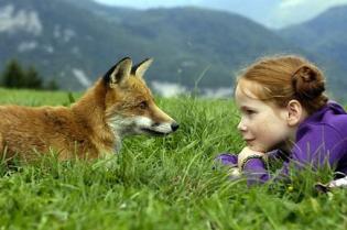 Le Renard et l�Enfant