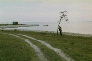 Andrei Arsenievitch Tarkovski, cin�aste de la m�moire