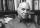 La com�die du remariage, norme psychanalytique du burlesque