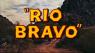 R�trospective Howard Hawks : My rifle, my pony and me