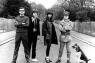 Les ailes sombres de la new wave et de la cold wave dans le spectre cin�matographique