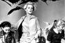 Les Oiseaux : Hitchcock Versus Du Maurier ?