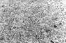 L�argent au cin�ma