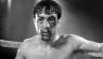 Raging bull