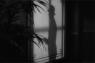 Scarface (1932) de Howard Hawks