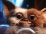Gremlins 1 et 2 (Joe Dante, 1984 et 1990)