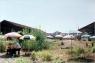 Ce vieux r�ve qui bouge (Alain Guiraudie, 2001)