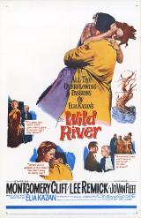 Le Fleuve sauvage (Wild River – Elia Kazan, 1960)