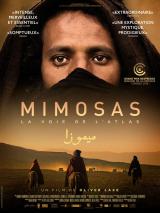 Mimosas, la voie de l&rsquo;Atlas