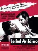 Le Bel Antonio (Il Bel Antonio, 1960)
