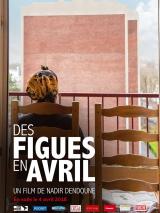 Des figues en avril