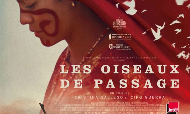 Les oiseaux de passage