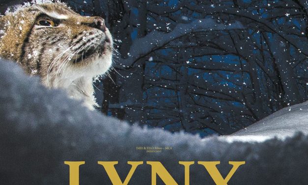 Lynx