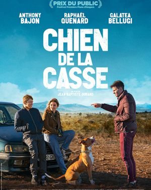Chien de la casse