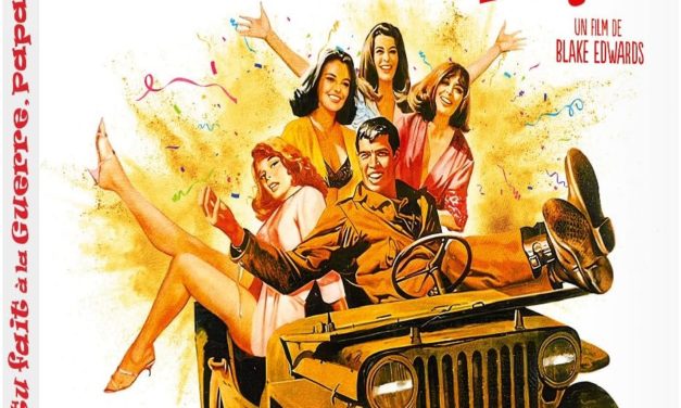 Qu&rsquo;as-tu fait à la guerre, papa ? Sortie Blu-ray chez Rimini Editions.