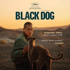 Black Dog