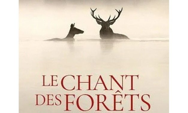 Le Chant des forêts