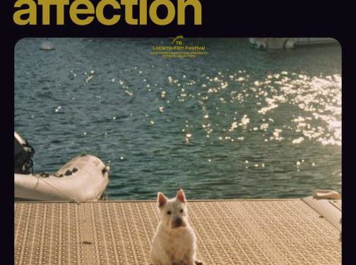 Affection affection