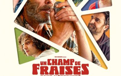 Un champ de fraises pour l&rsquo;éternité (deuxième texte de notre site)